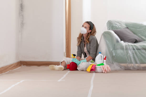 Reliable Black Mold Removal contractor in Manchester, PA by WQB Mold Removal